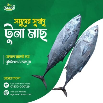 Tuna Fish