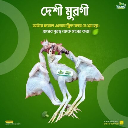 সরাসরি গ্রামের গৃহস্থ্ থেকে সংগ্রহ করা দেশি মুরগি। পার পিস ৬৯৯ টাকা। একটা দেশি মুরগির ওজন ৯০০/১০০০ গ্রাম এটা প্রসেসের পর ৬০০/৭০০ গ্রাম টিকবে।