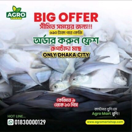 রূপচাঁদা ১ কেজি ৯/১০ পিস