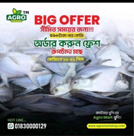 Fresh Rupchada 1 kg te 12 pis