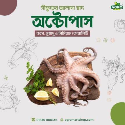 Octopus 1 kg te 2/3 pis