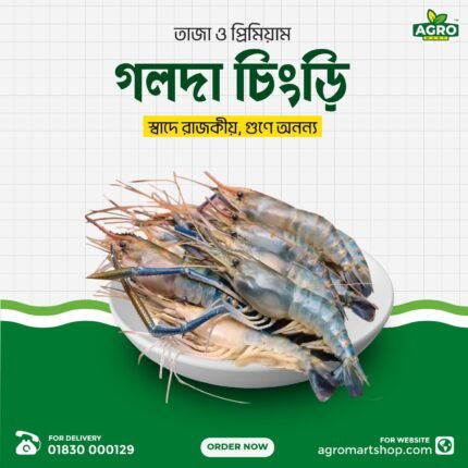 Golda Chingri 1 kg te 18 / 20 pis