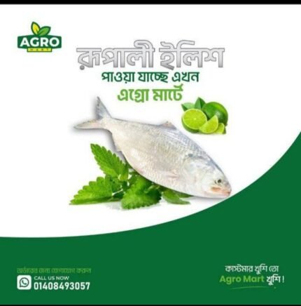ILLIS size 800 থেকে 900 gram