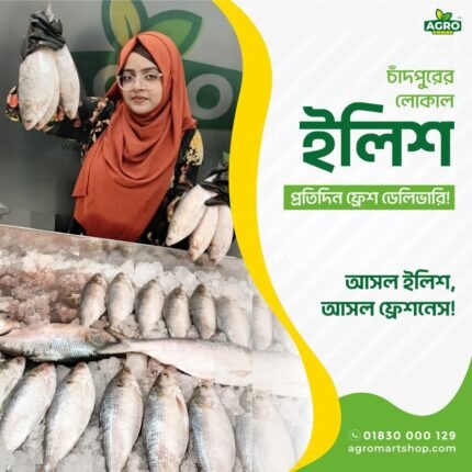 Illis size 1 kg te 3/4 pis